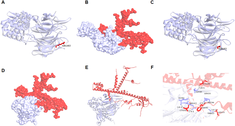 Fig. 10