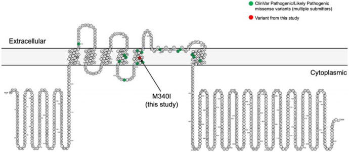 Figure 1.