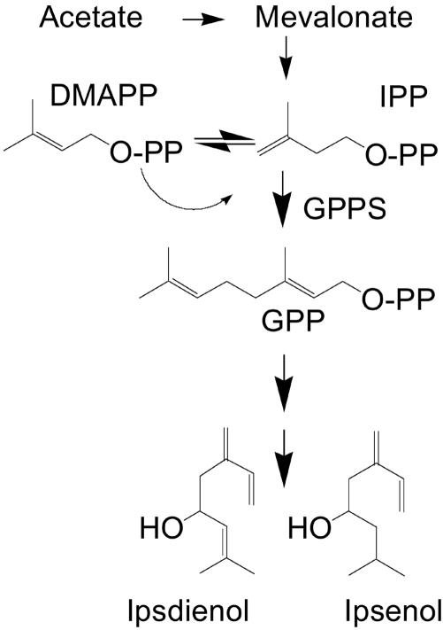 Fig. 1.