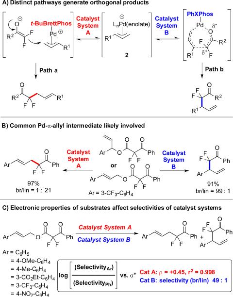 Scheme 10