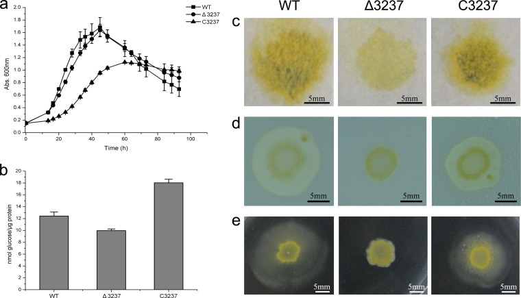 FIG 2