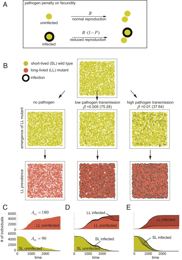 Fig. 4.