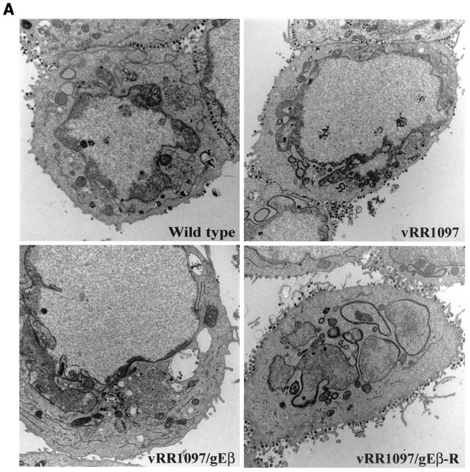 FIG. 5.