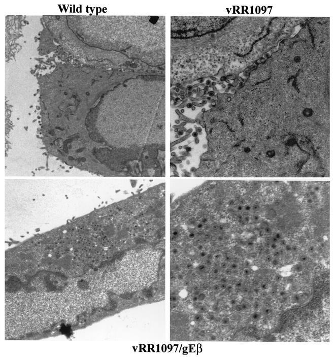 FIG. 7.