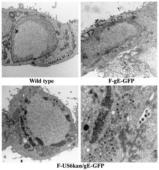 FIG. 4.