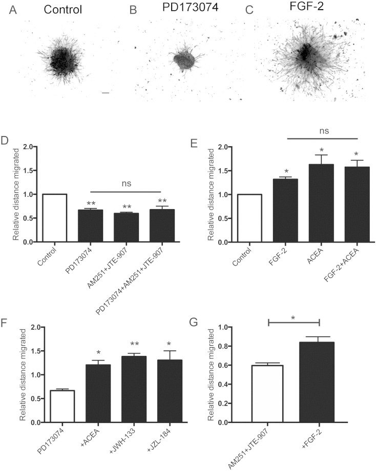 Fig. 7