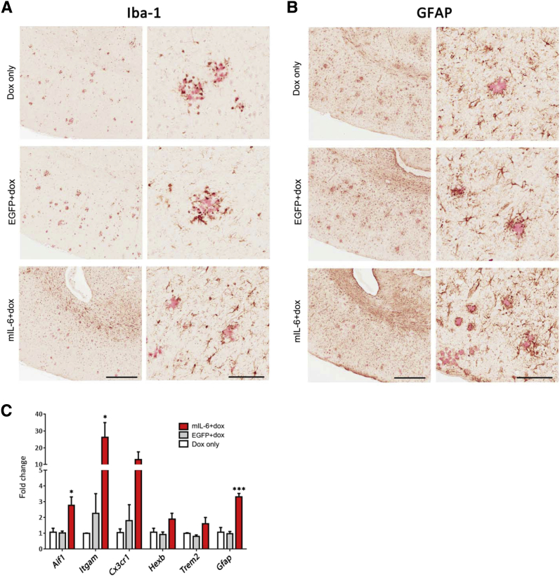Figure 4