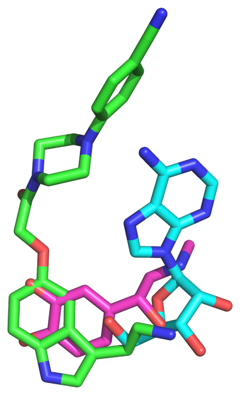 Extended Data Figure 5