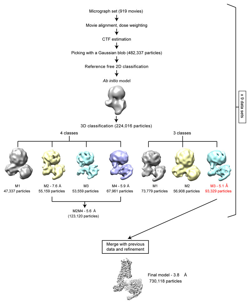 Extended Data Figure 3