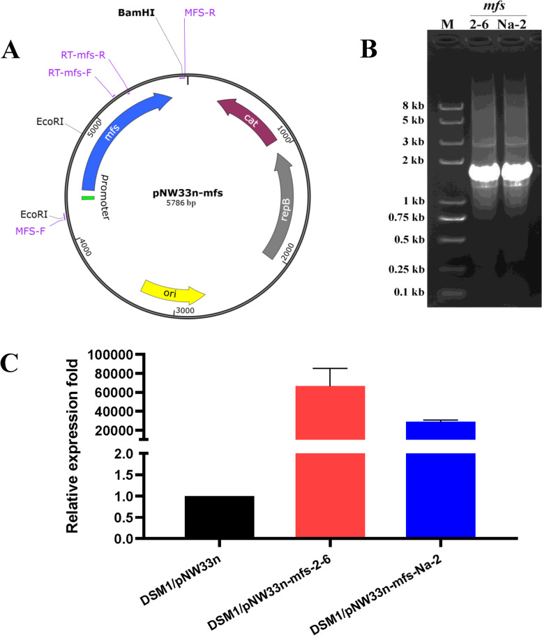 Fig. 3