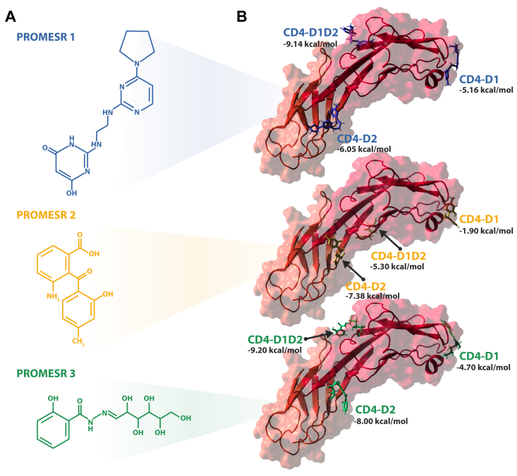 Figure 2