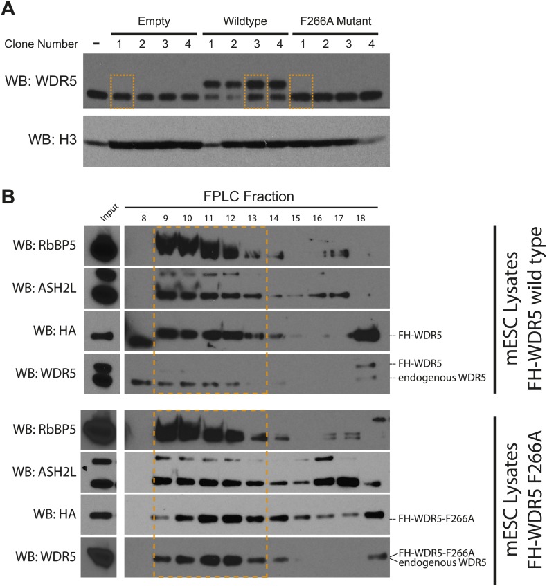 Figure 4—figure supplement 1.