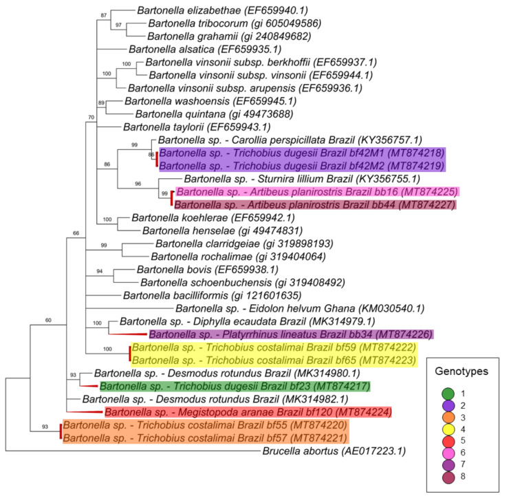 Figure 4