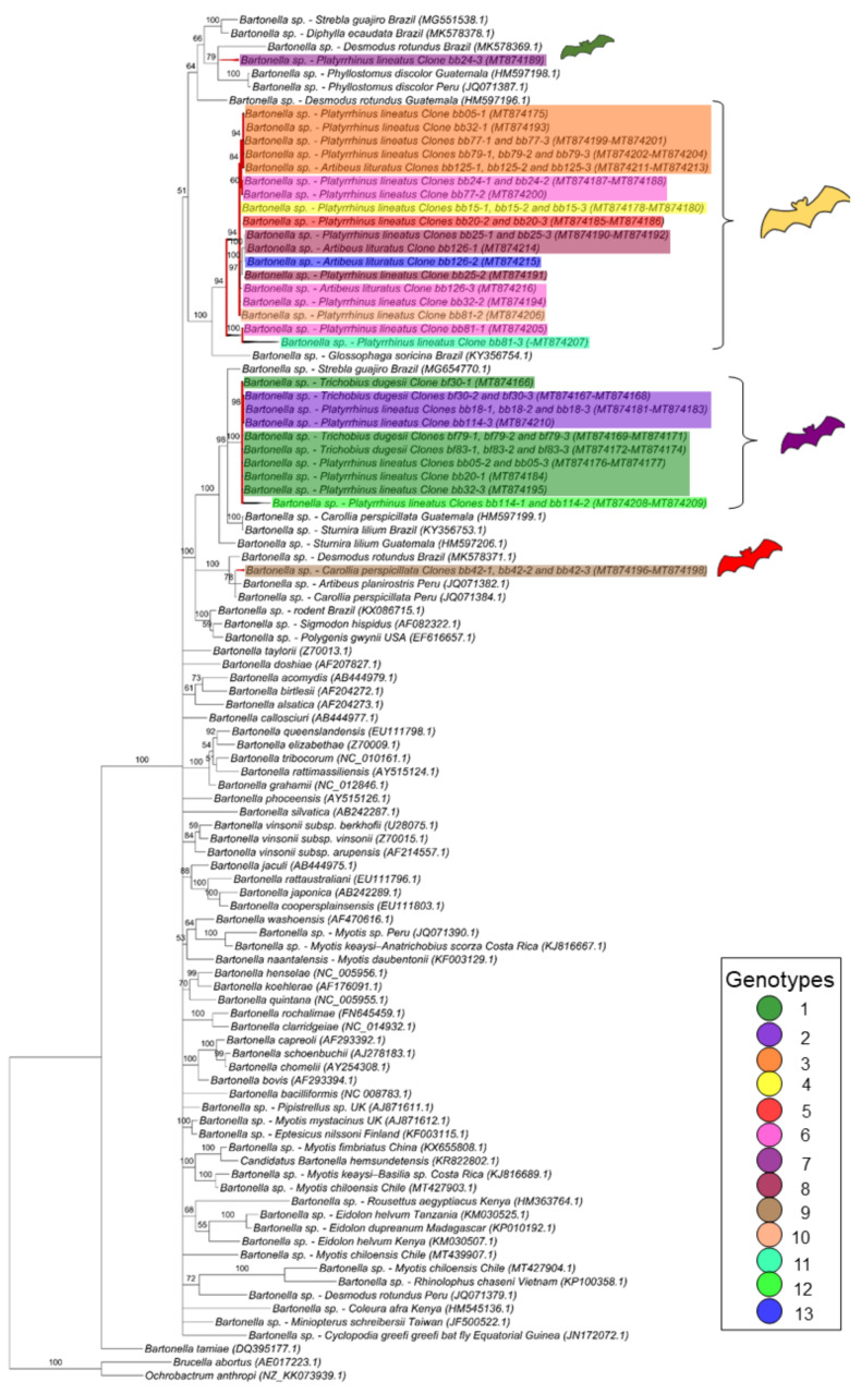 Figure 2