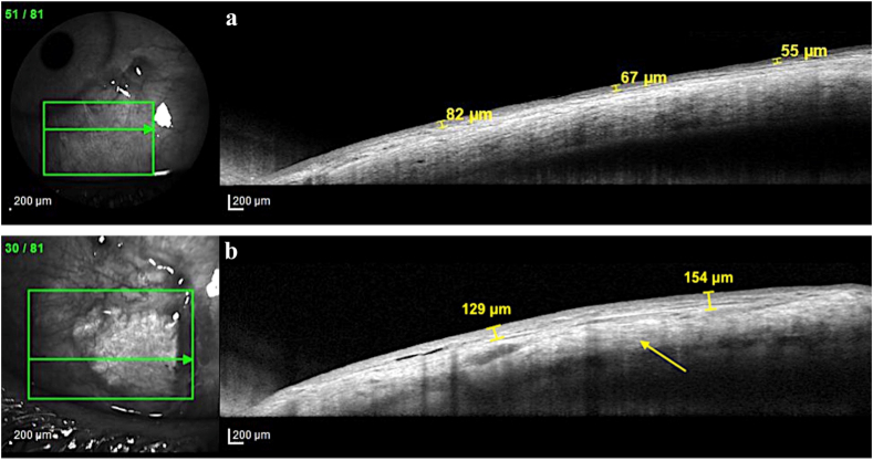 Fig. 8