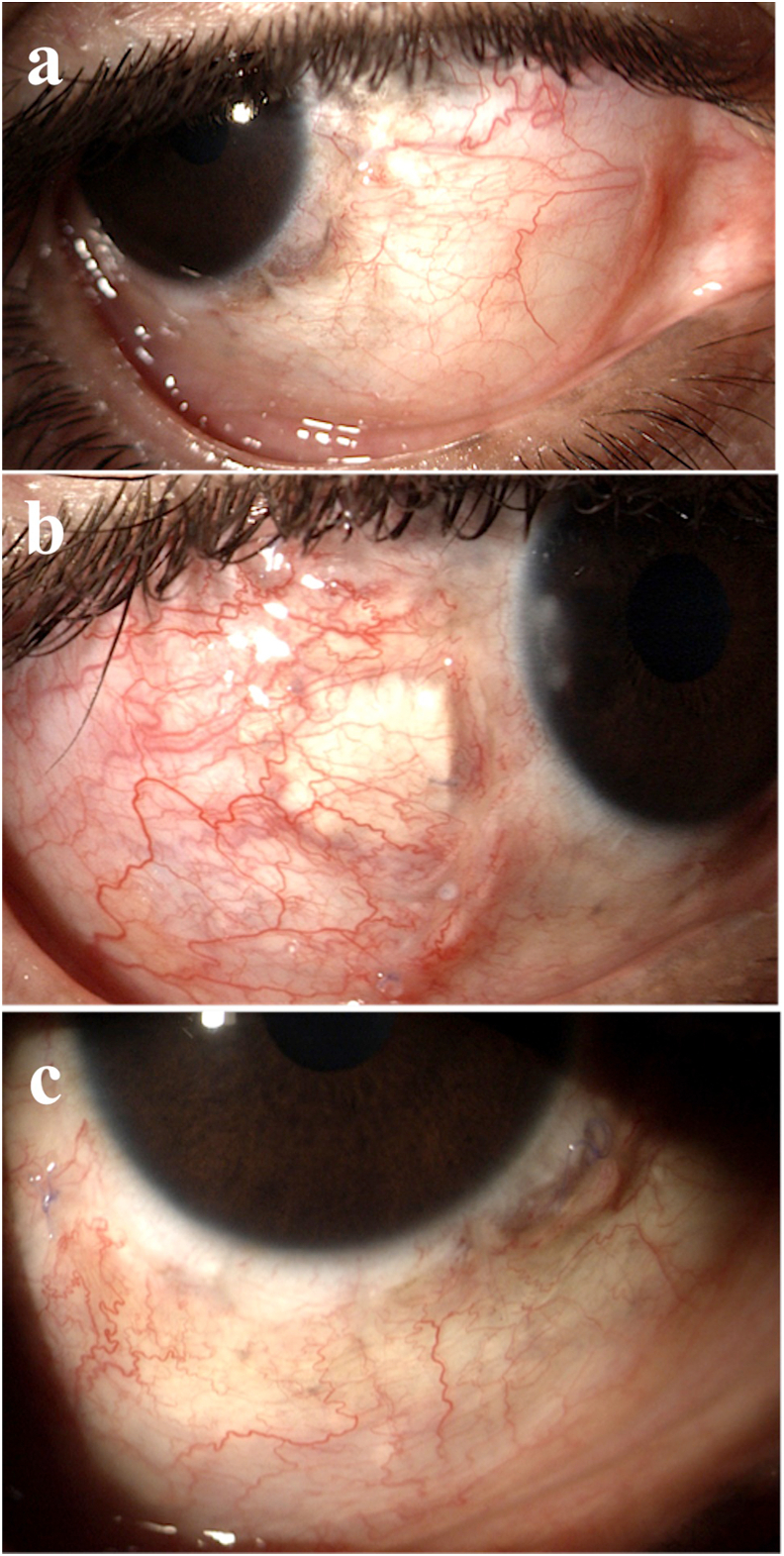 Fig. 6