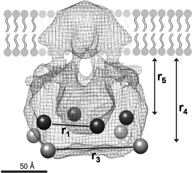 FIGURE 8.