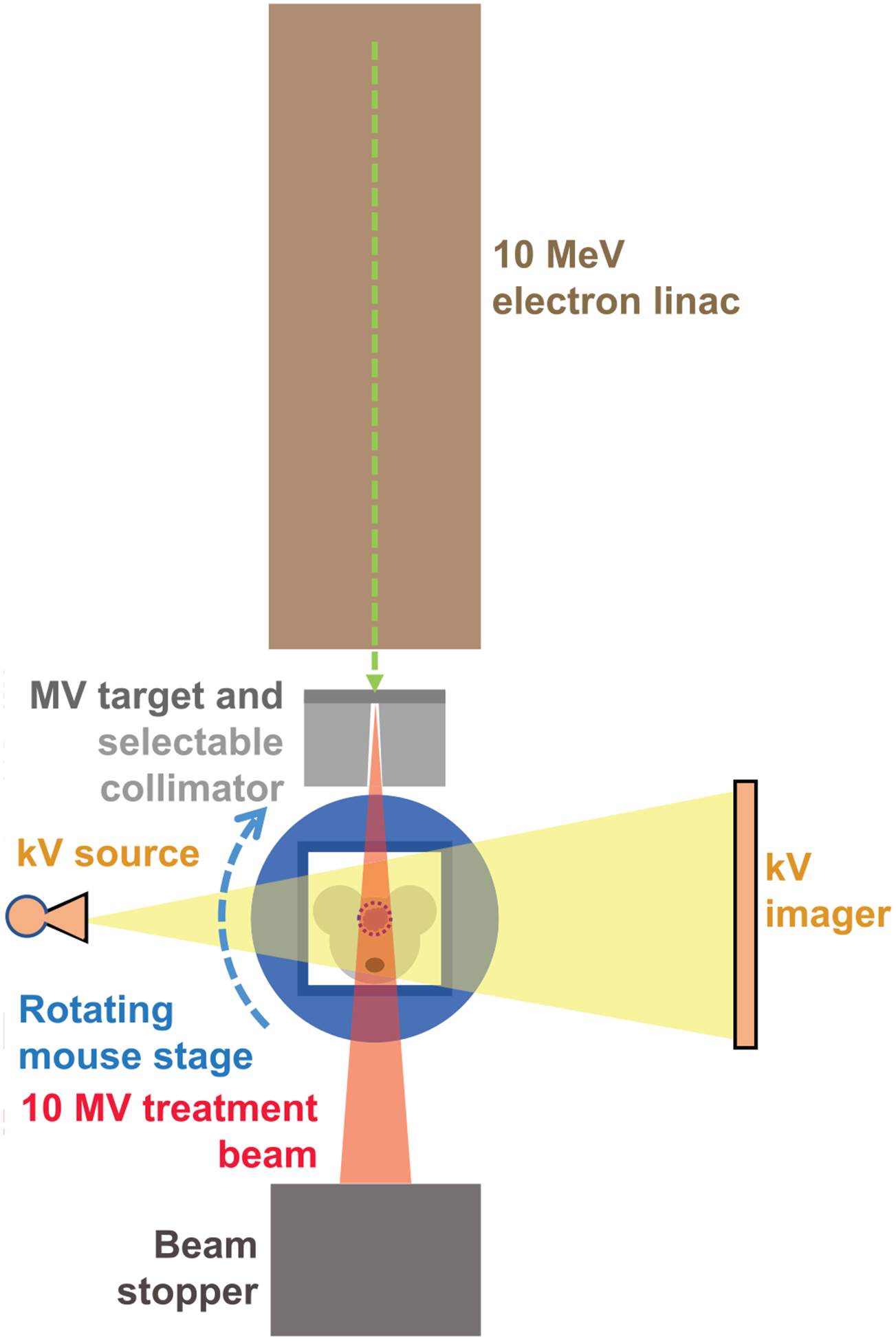 FIG. 1.