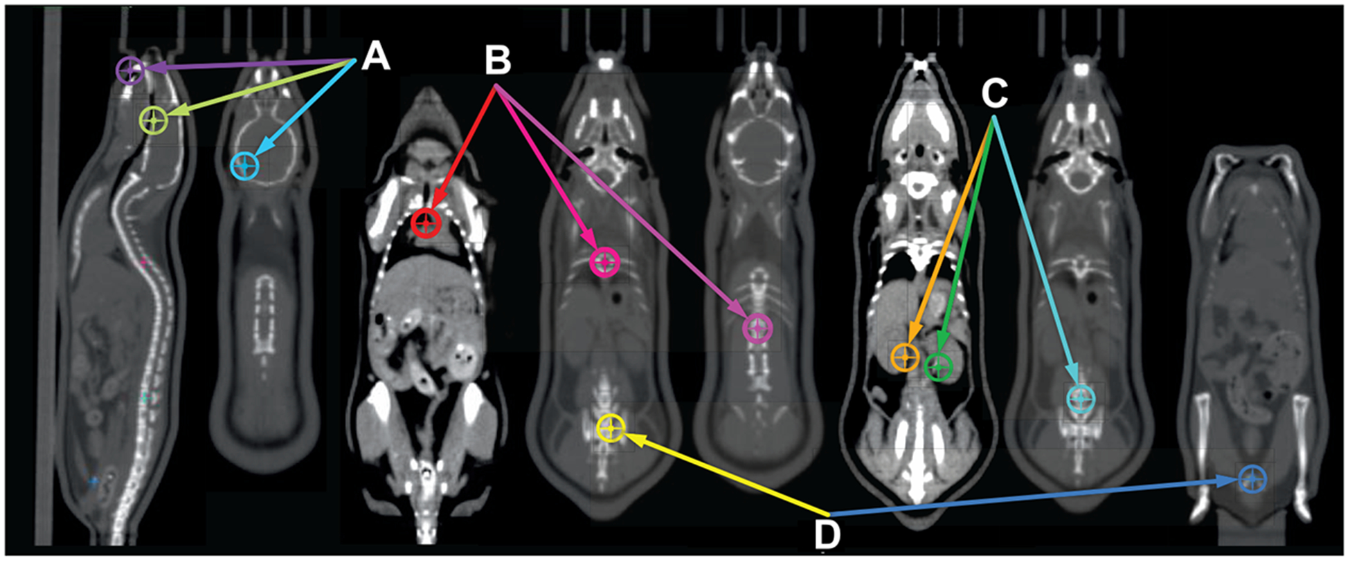 FIG. 3.