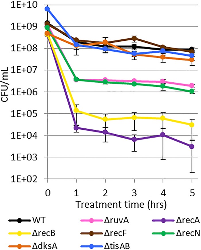 FIG 4 