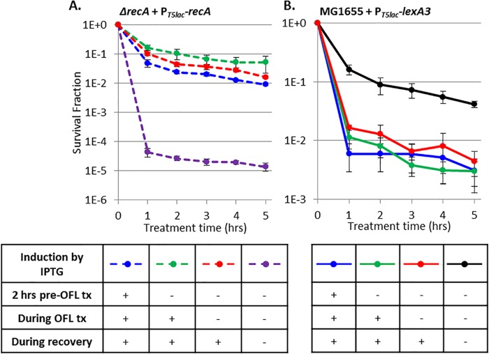 FIG 6 