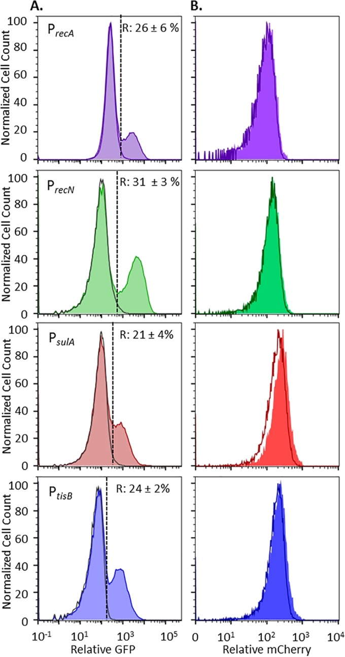 FIG 1 