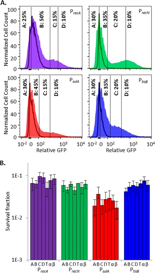 FIG 2 