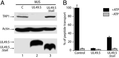 Fig. 5.