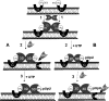 FIG. 9.
