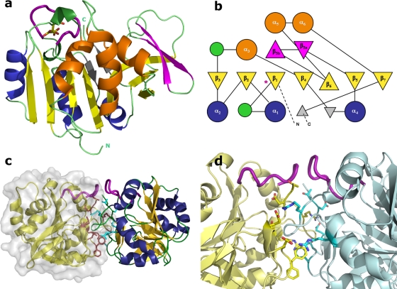 Fig. 3.