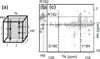 Fig. 12