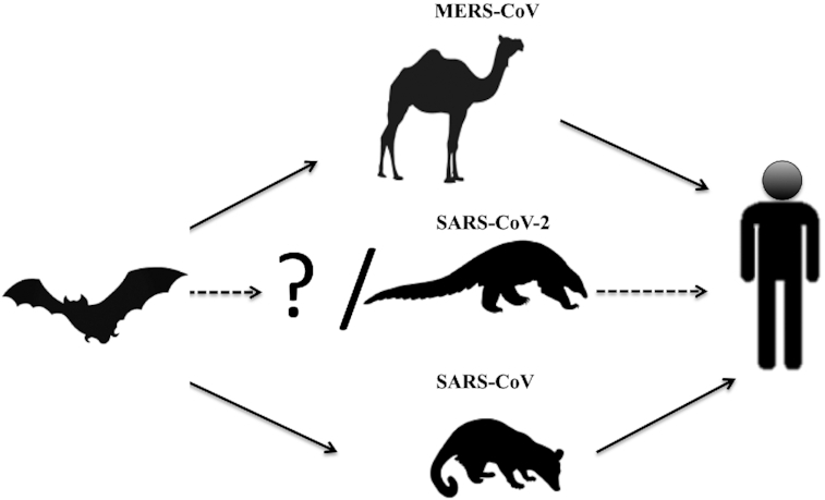 Figure 2.