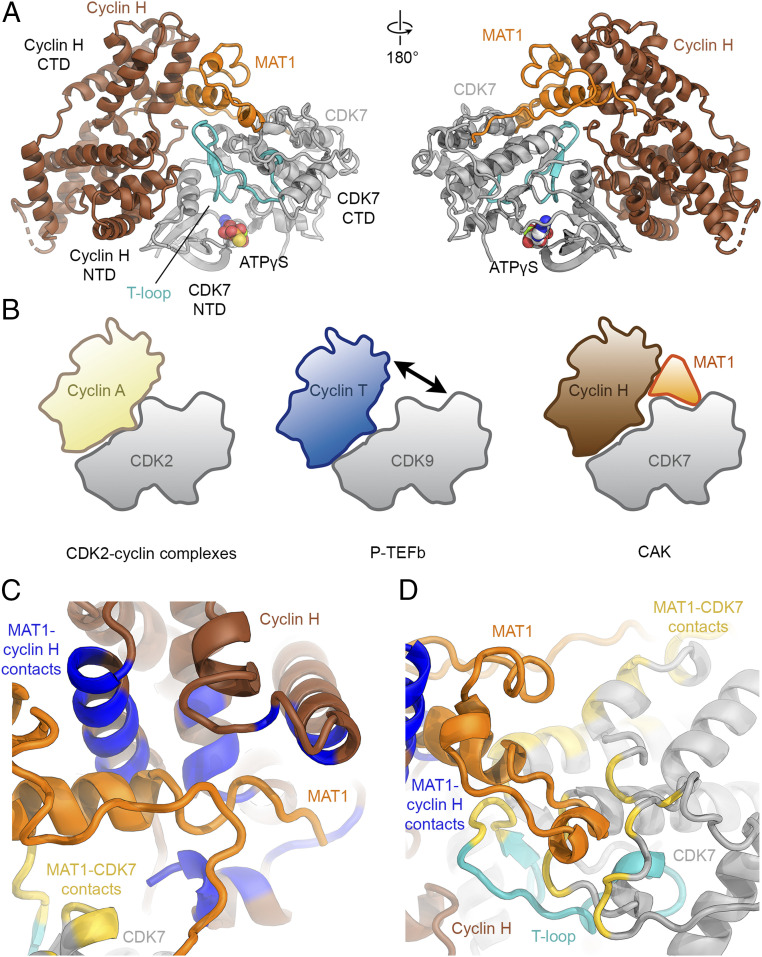 Fig. 2.