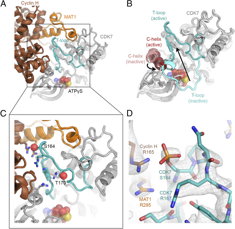 Fig. 3.