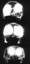 F<sc>ig</sc> 2.