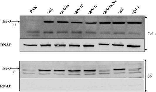 FIGURE 10.