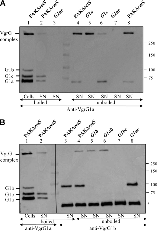 FIGURE 9.