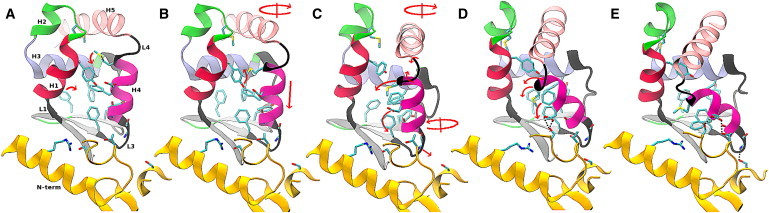 Figure 4