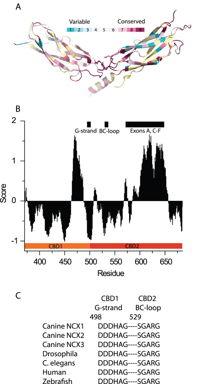 Figure 2