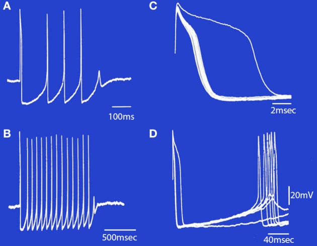 Figure 7