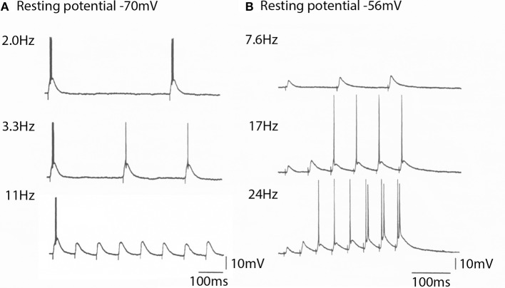 Figure 10