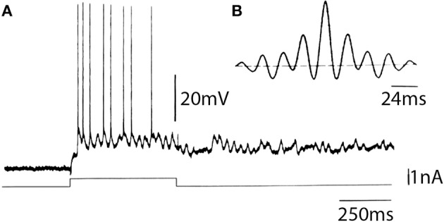 Figure 13