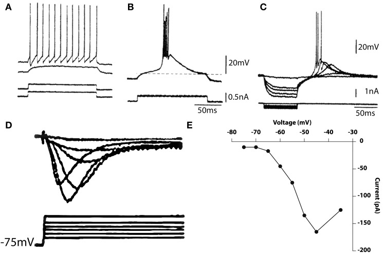 Figure 9