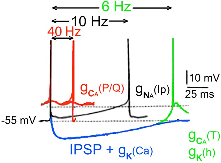 Figure 12