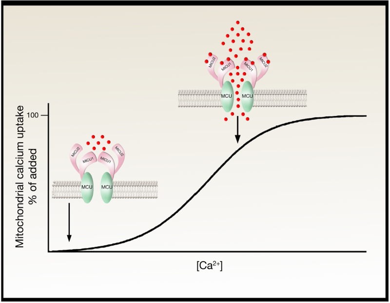 Figure 2: