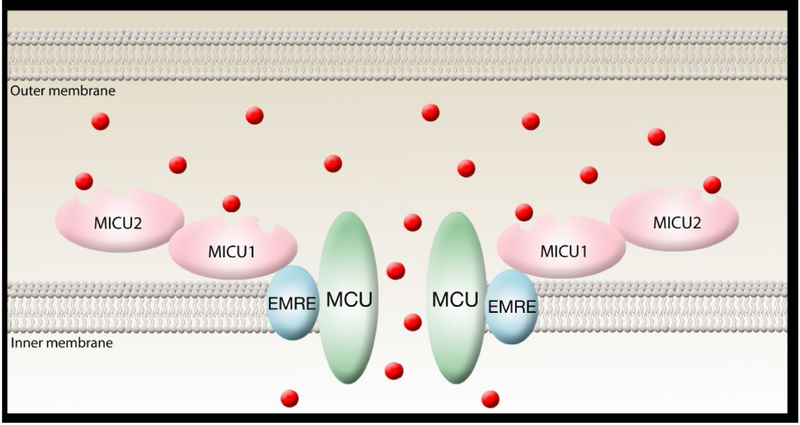 Figure 3: