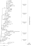 Fig. 4