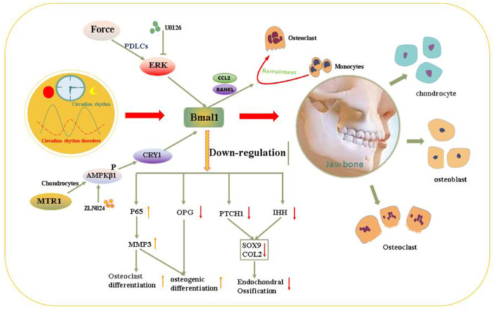 FIGURE 3