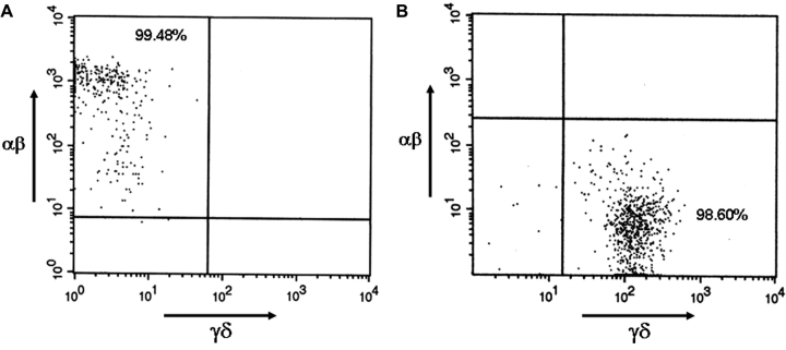 FIG. 5.