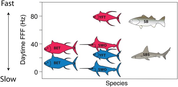 Figure 3: